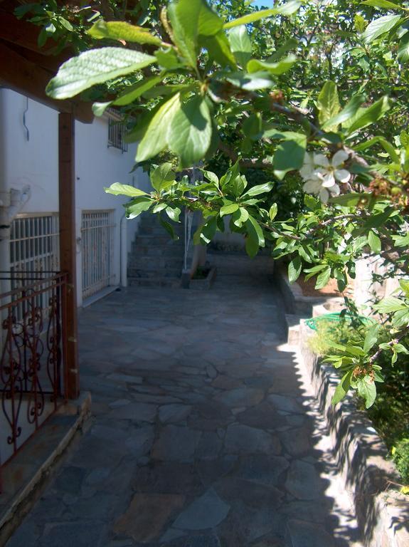 Athenian Spiti Villa อาร์เตมีดา ห้อง รูปภาพ